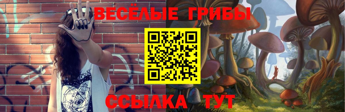 Псилоцибиновые грибы Magic Shrooms  Галлюциногенные грибы Magic Shrooms  Шахты  Вход с VPN 