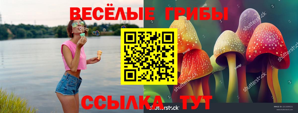 Галлюциногенные грибы Magic Shrooms Шахты